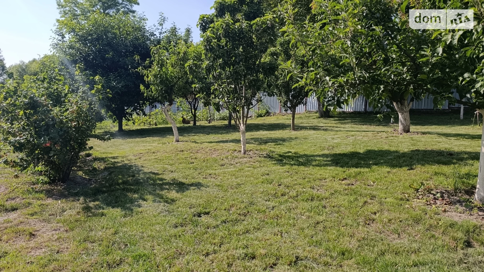 вул. Центральна Дашківці, цена: 15000 € - фото 4