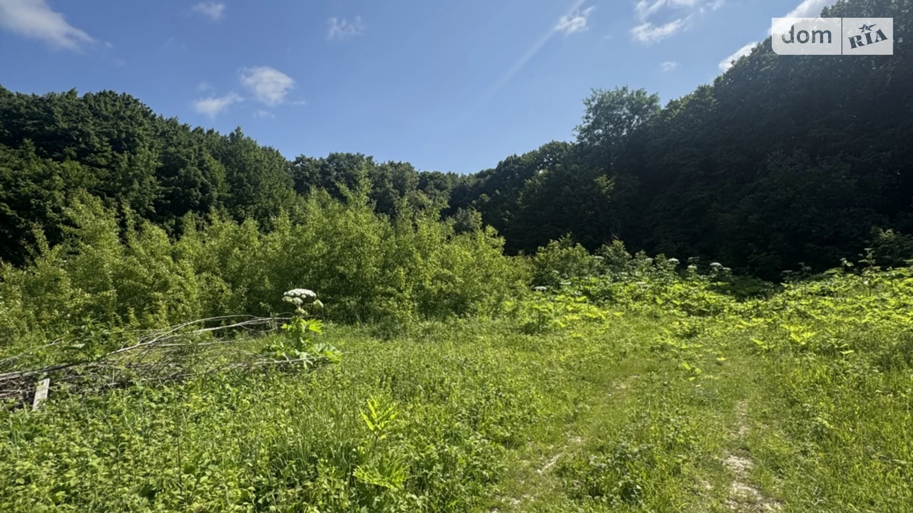 Іванківці (Хмельницький), цена: 270000 $ - фото 3