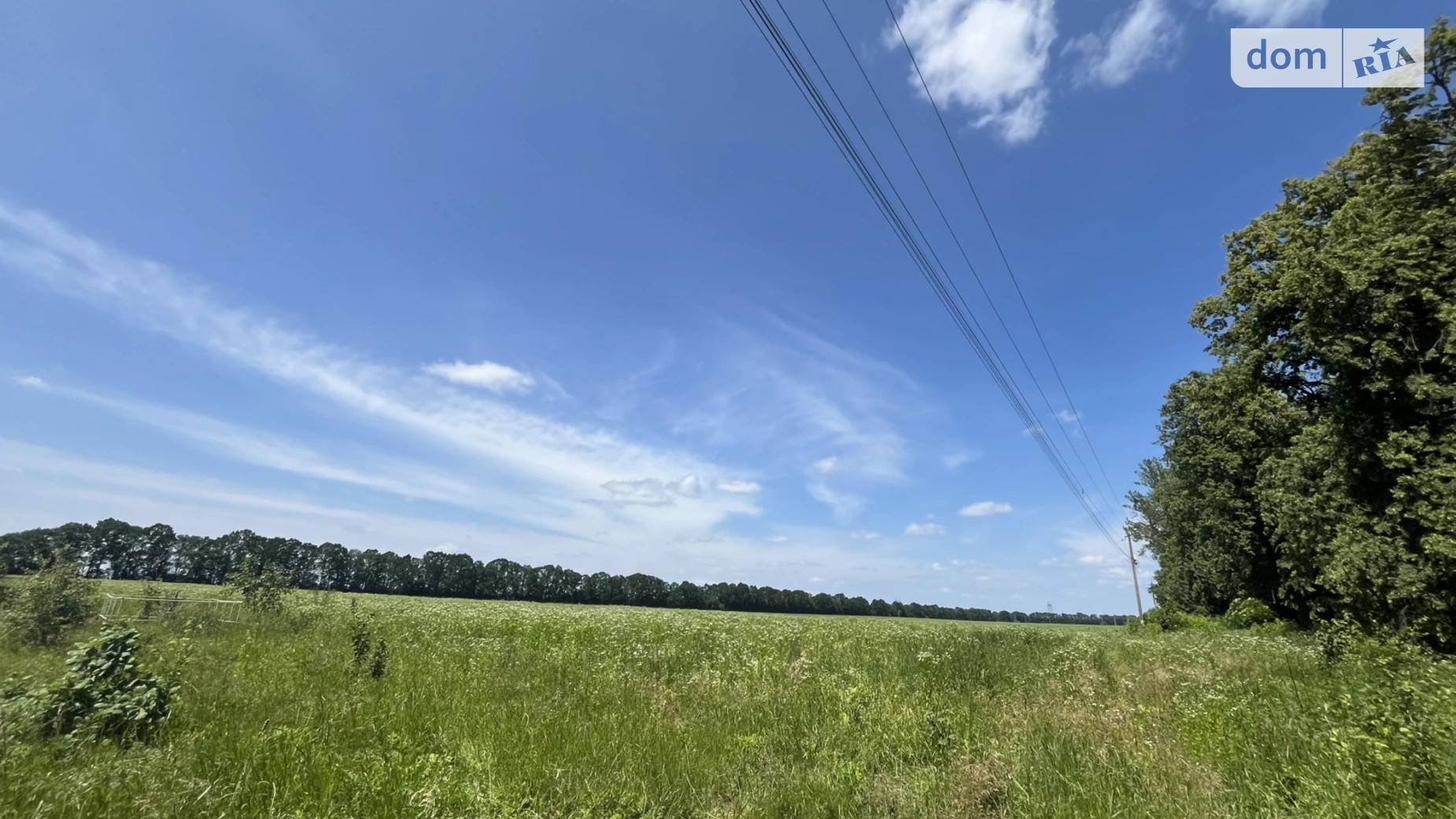 Горбановка, цена: 10000 $ - фото 3