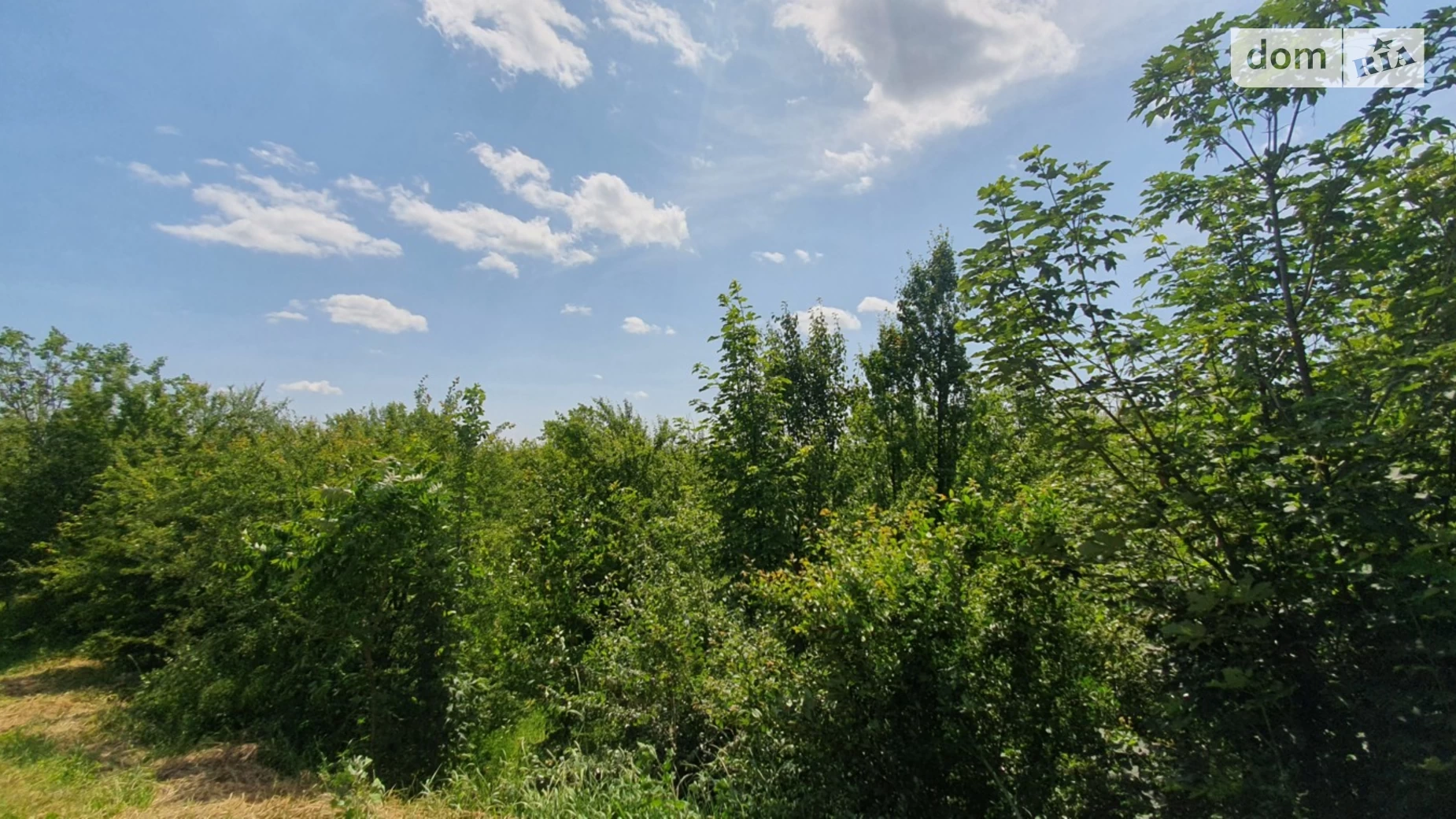ул. Коцюбинского Лука-Мелешковская, цена: 165000 $ - фото 5