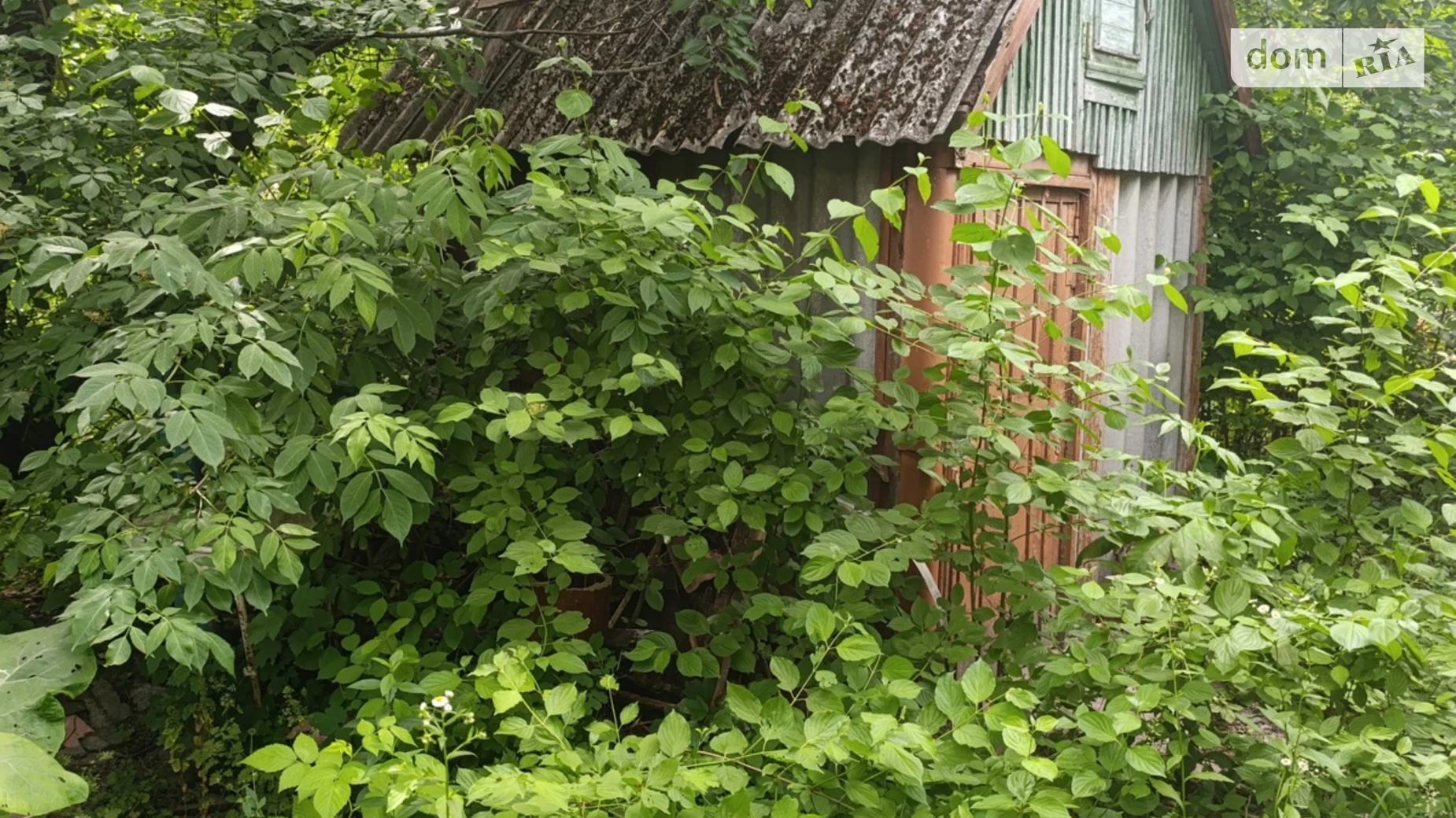 пер. Добрососедства Агрономичное, цена: 18000 $ - фото 3