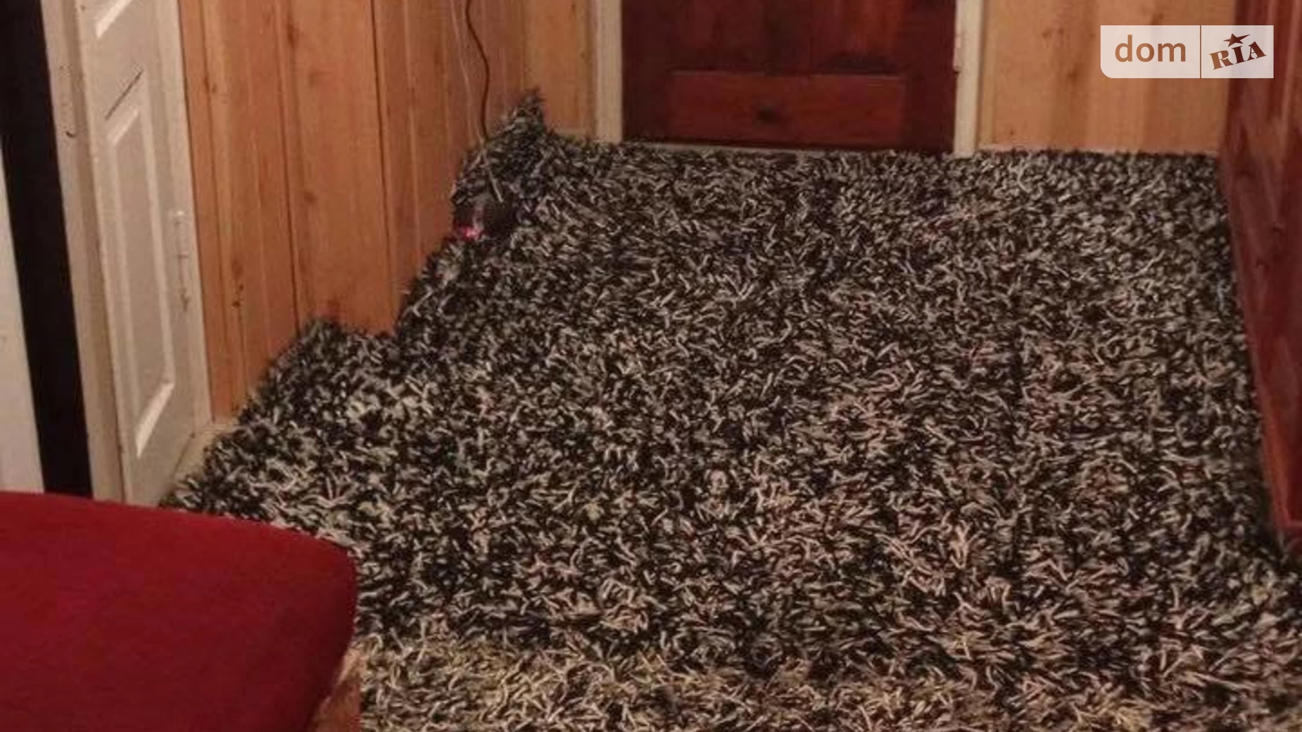 Продається одноповерховий будинок 140 кв. м з бесідкою, цена: 46000 $ - фото 2