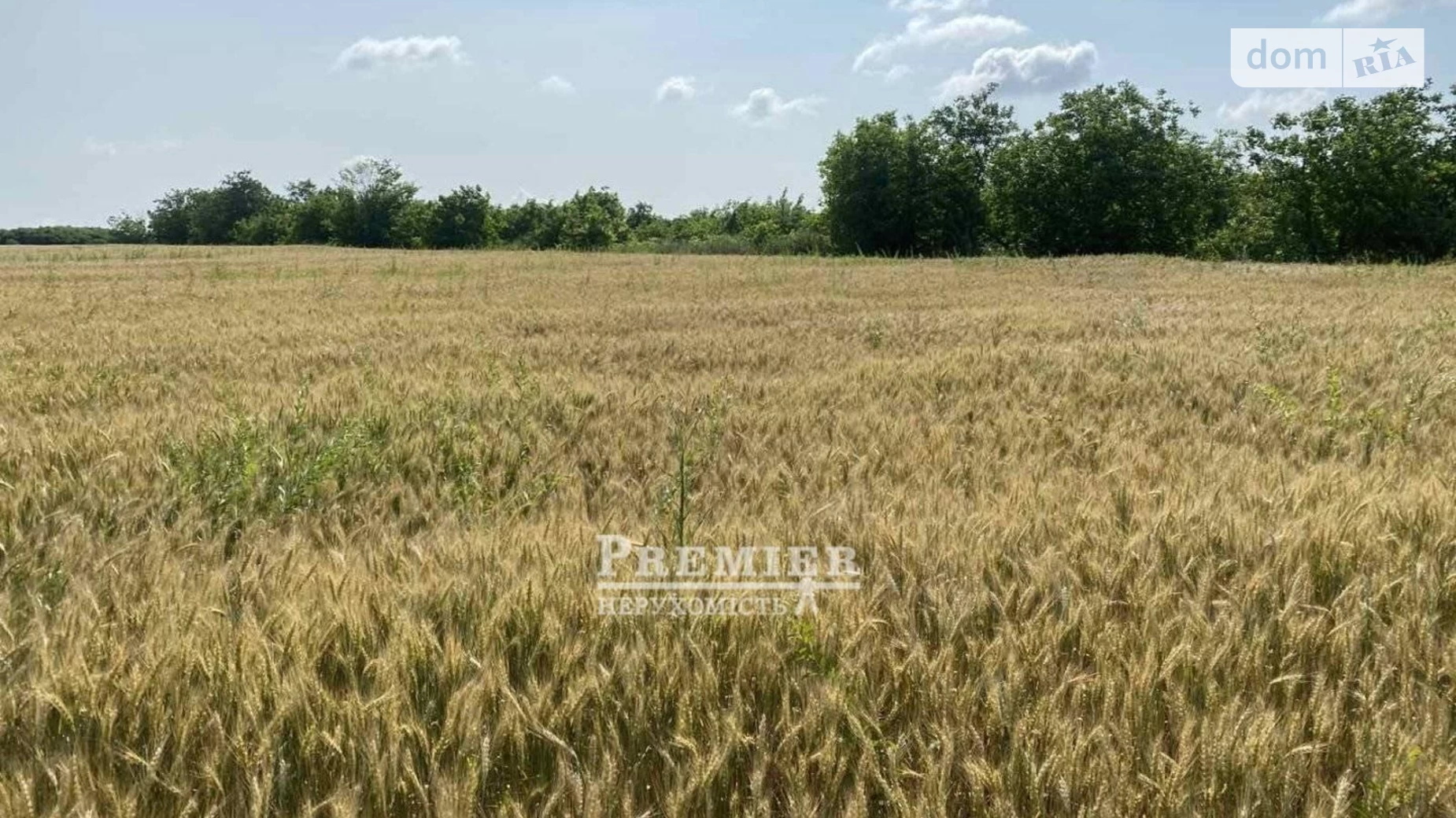 Продається земельна ділянка 238.15 соток у Одеській області, цена: 231731 $ - фото 5