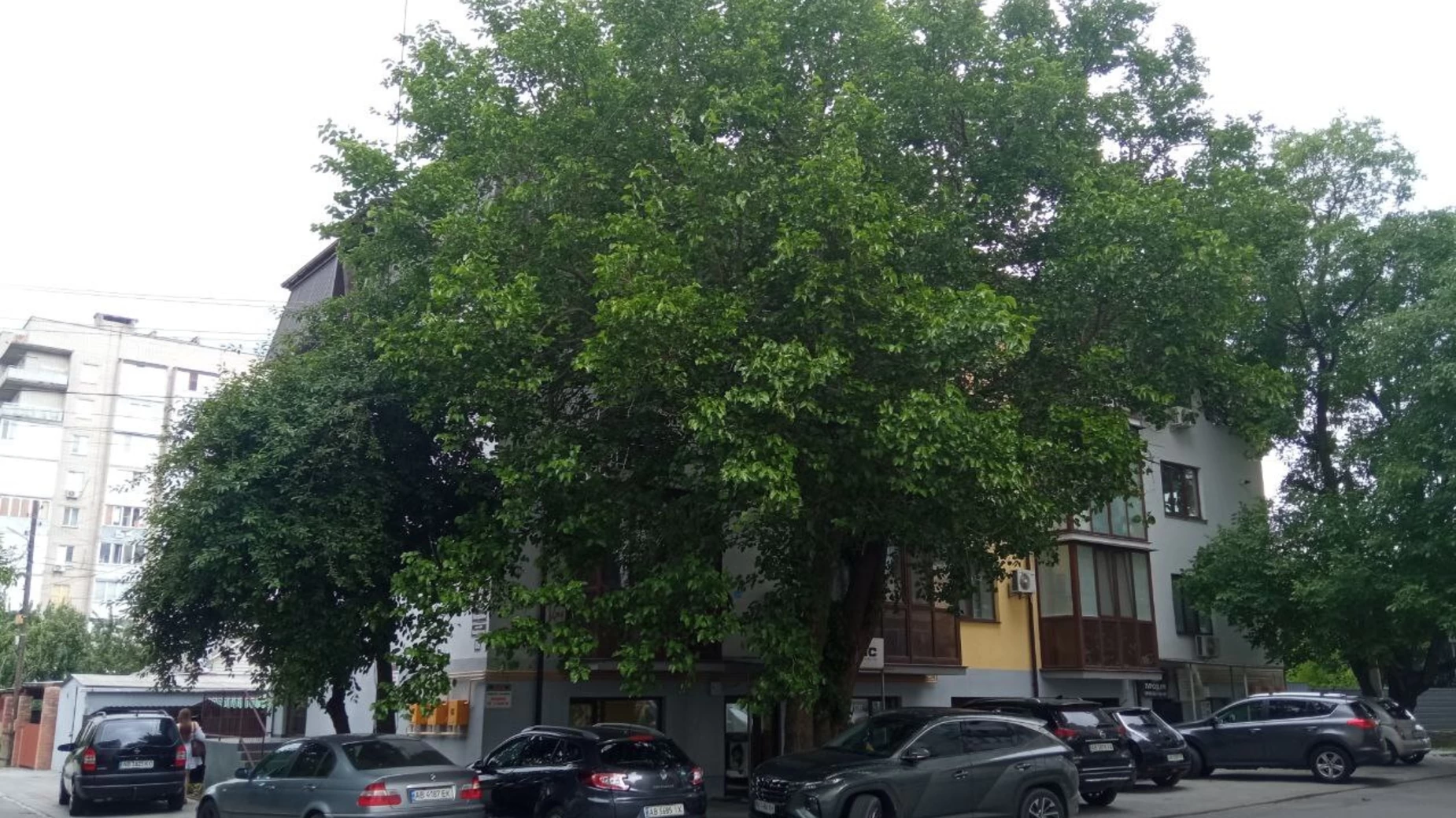 Продается помещения свободного назначения 70 кв. м в 4-этажном здании, цена: 74999 $ - фото 4