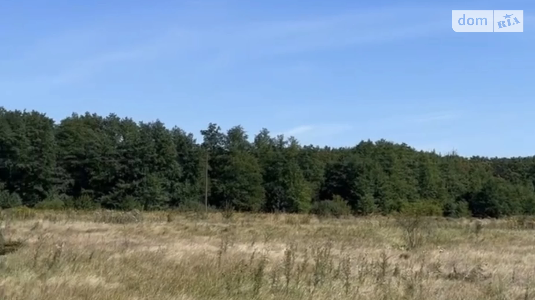 Гущинці, цена: 350000 $ - фото 3