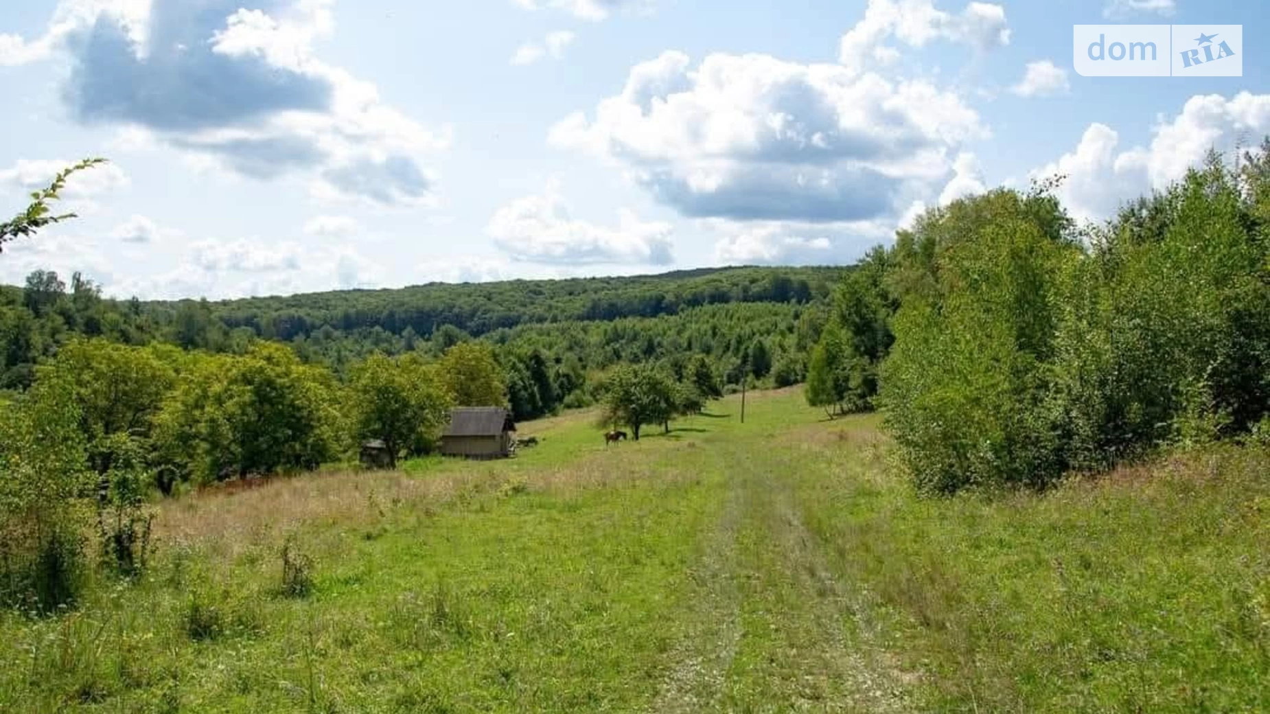 ул. Тараса Шевченко Пестинь, цена: 35000 $ - фото 2