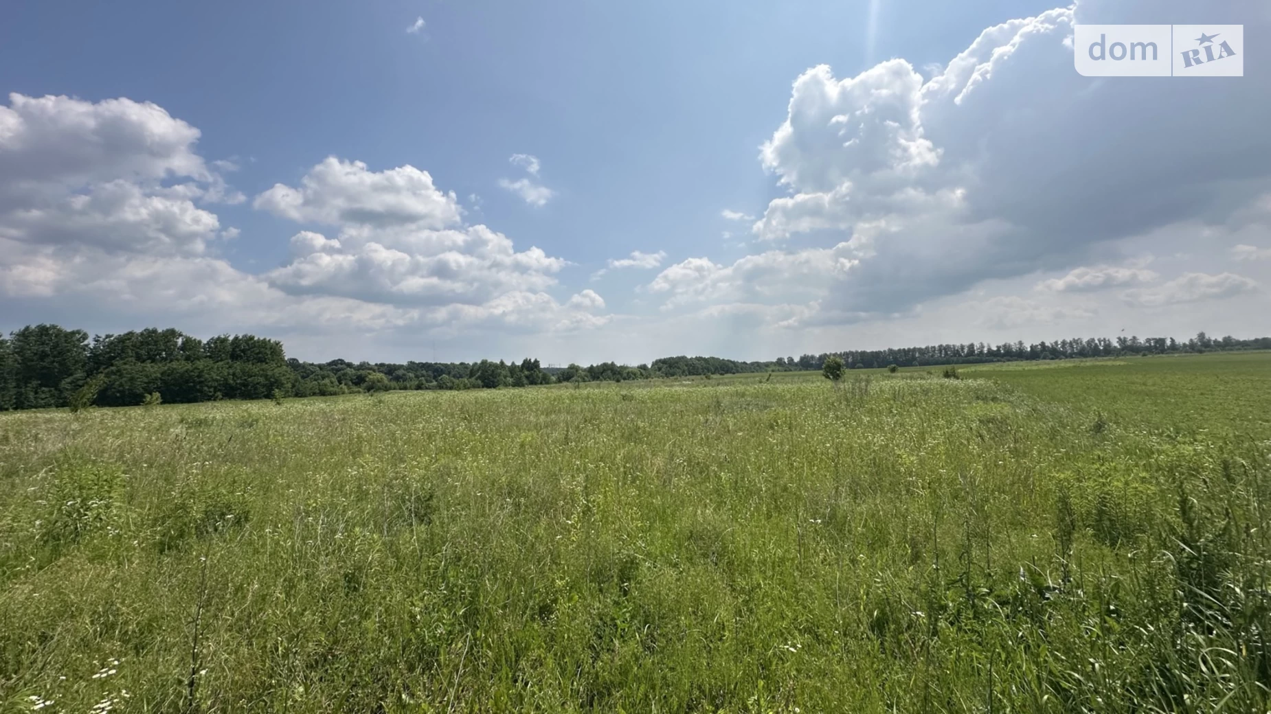 ул. Дружбы Березина, цена: 30000 $ - фото 3