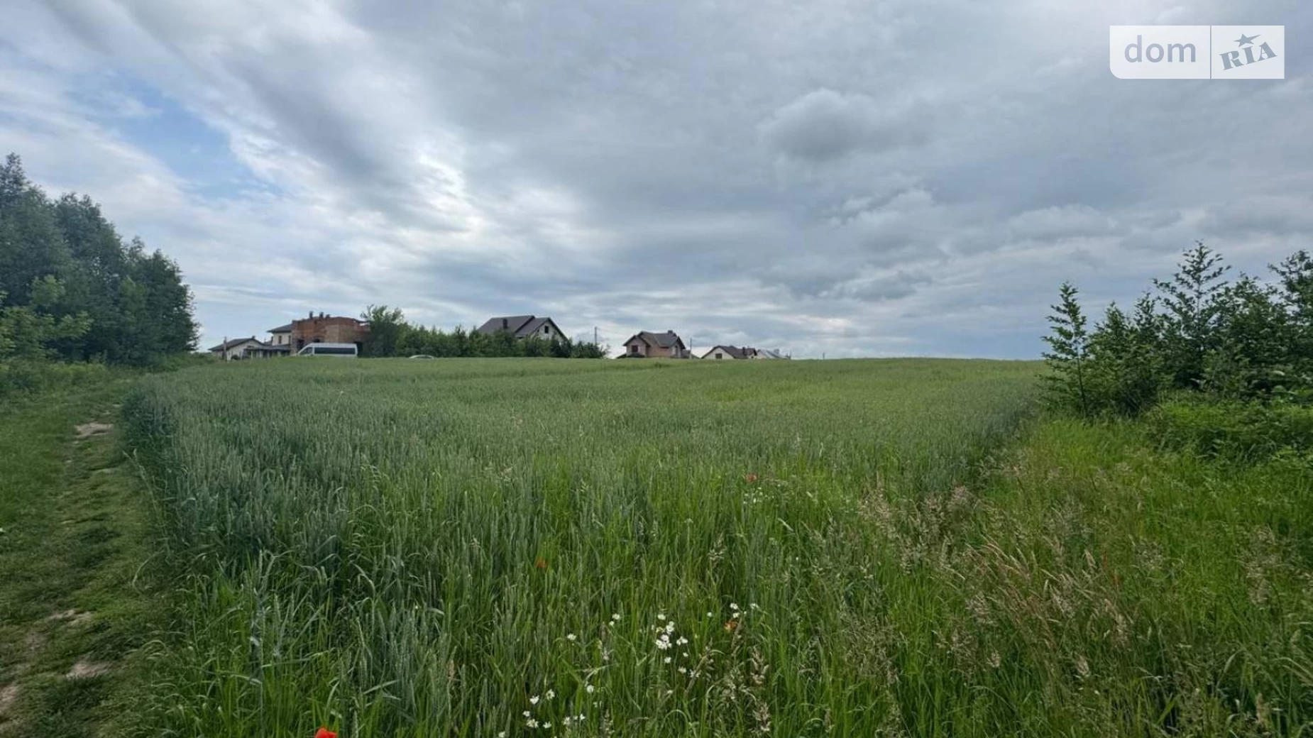 Черниев (Ивано-Франковск), цена: 66000 $ - фото 5