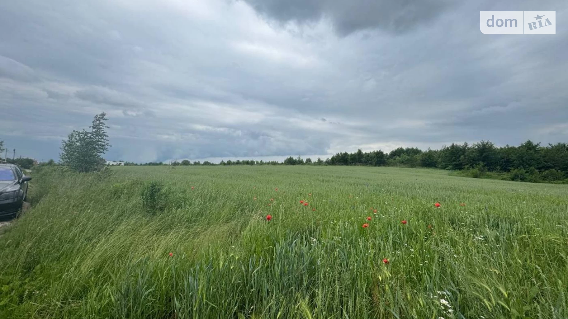 Черниев (Ивано-Франковск), цена: 66000 $ - фото 3