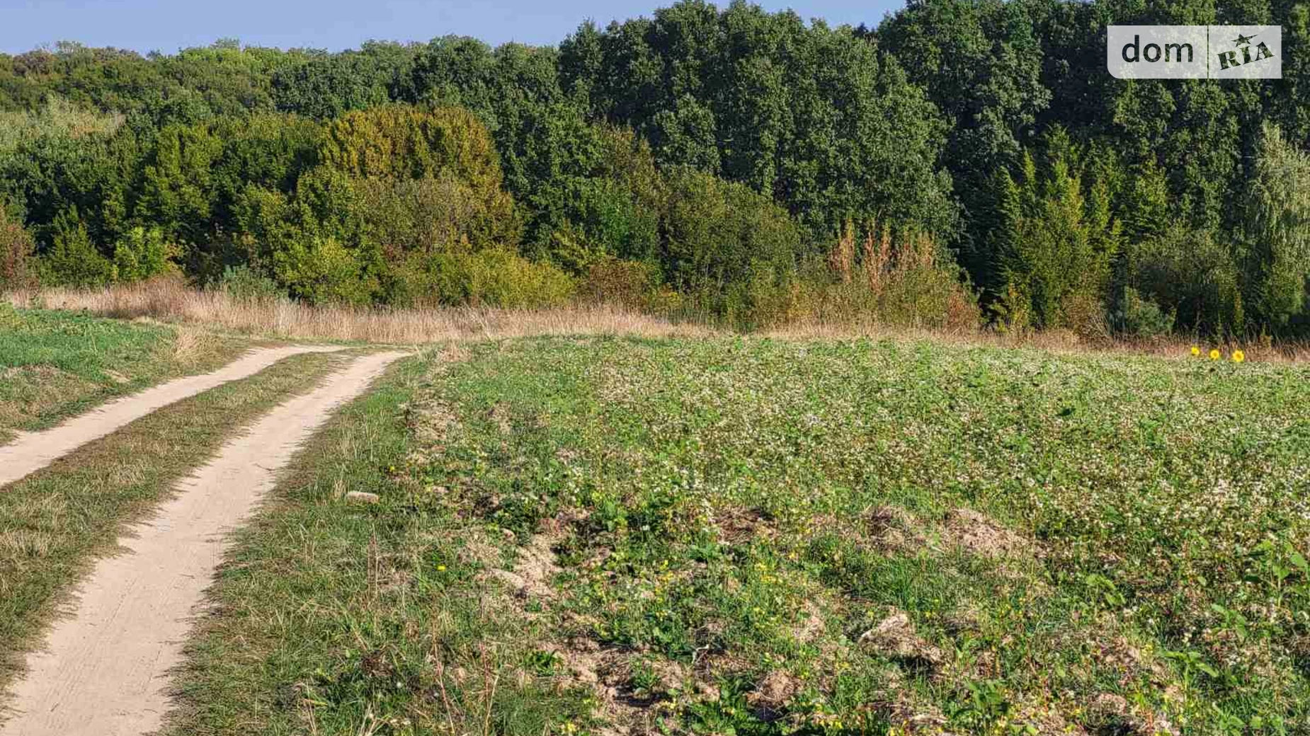ул. Молодежная Ксаверовка, цена: 8000 $ - фото 2