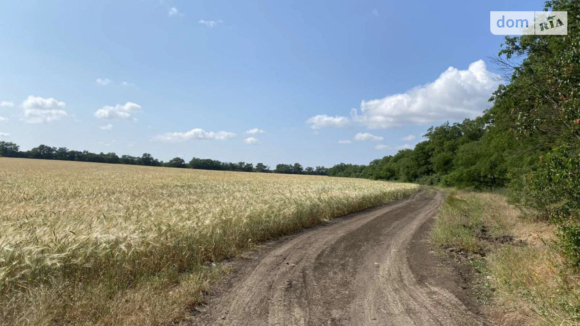 Продається земельна ділянка 211.64 соток у Одеській області, цена: 142861 $ - фото 5