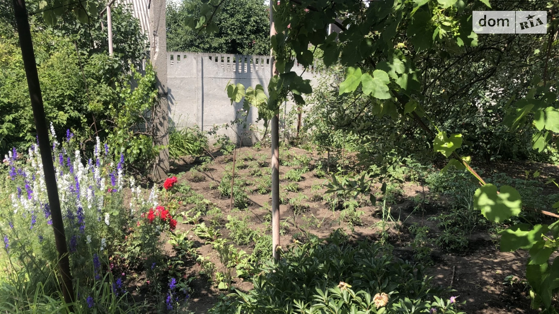 Продається одноповерховий будинок 60 кв. м з верандою, цена: 32000 $ - фото 3