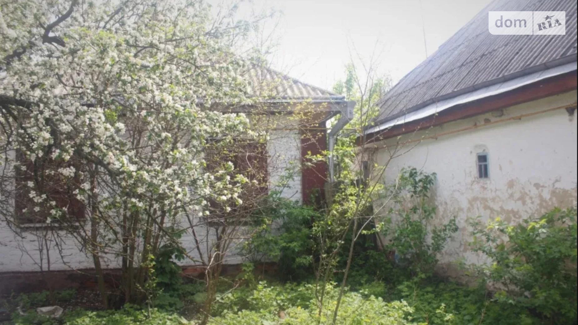 Продается одноэтажный дом 104 кв. м с подвалом, цена: 16000 $ - фото 3