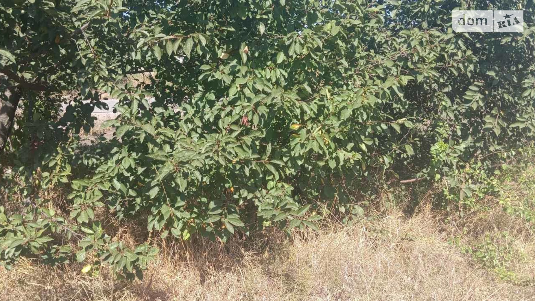 Турбів, цена: 6500 $ - фото 2