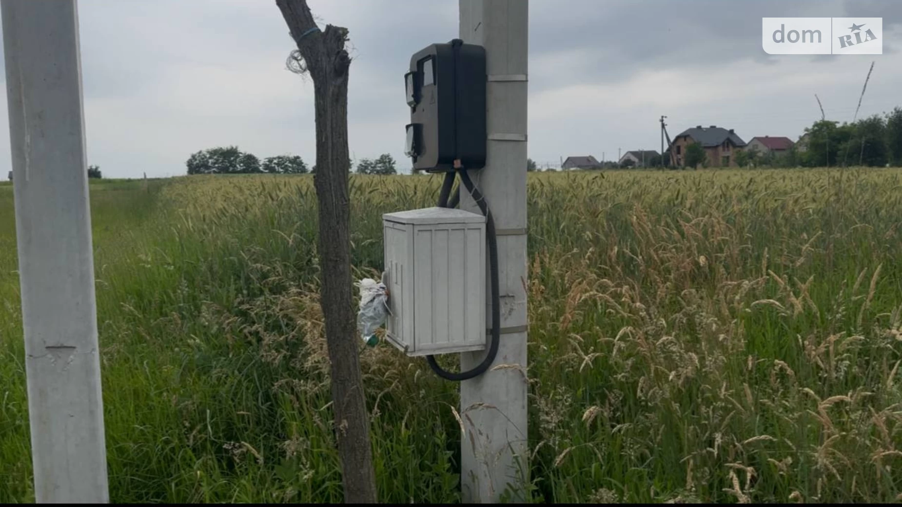озерна Чижиків, цена: 12000 $ - фото 3