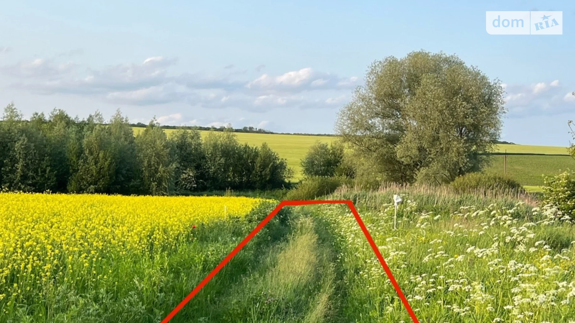 Молодіжний Лісові Гринівці, цена: 36000 $ - фото 3