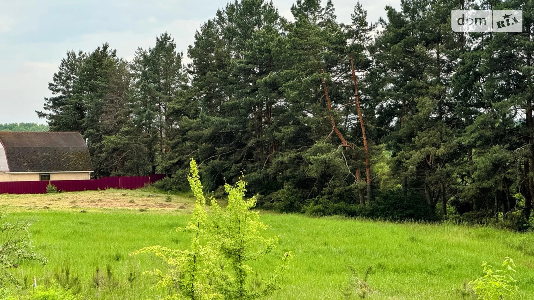 вул. Урожайна Музичі, цена: 23000 $ - фото 4