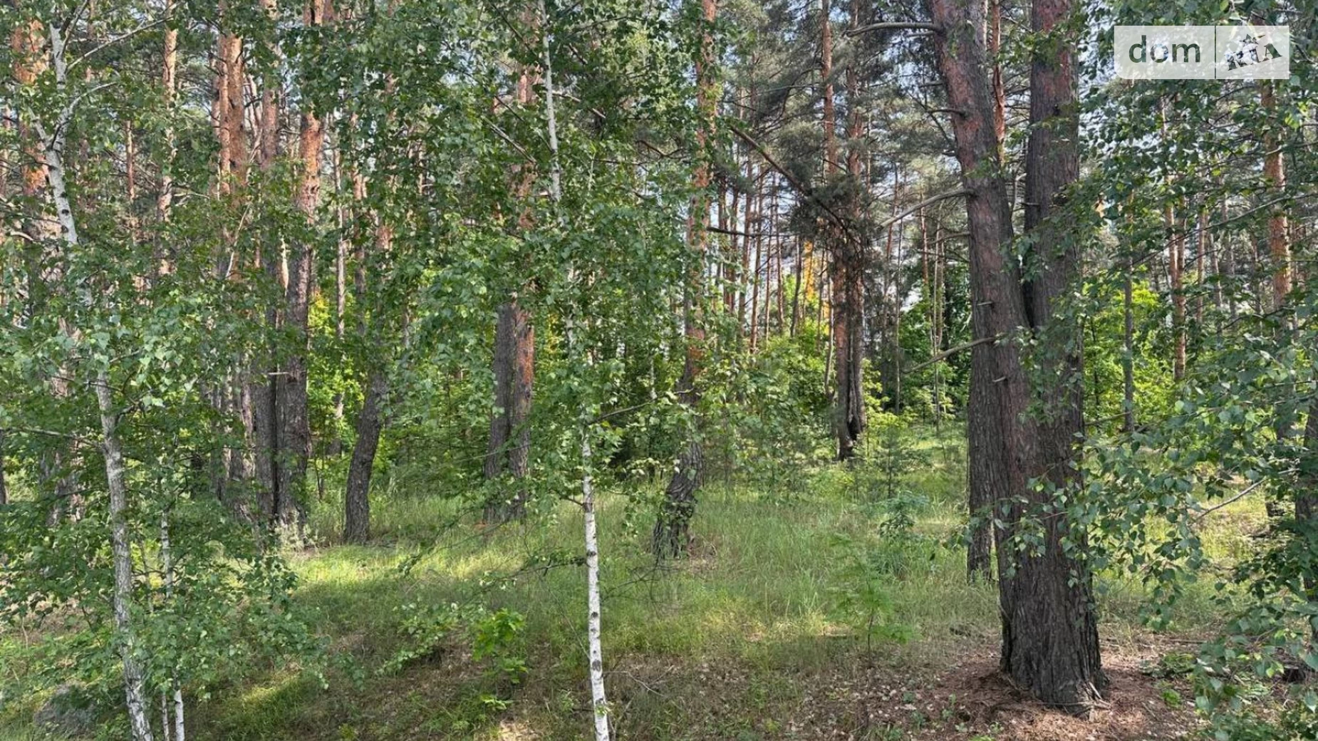 Продается земельный участок 15 соток в Киевской области, цена: 235000 $ - фото 4