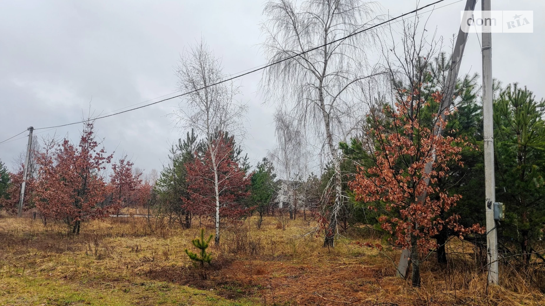 вул. Наукова Мила, цена: 28000 $ - фото 5