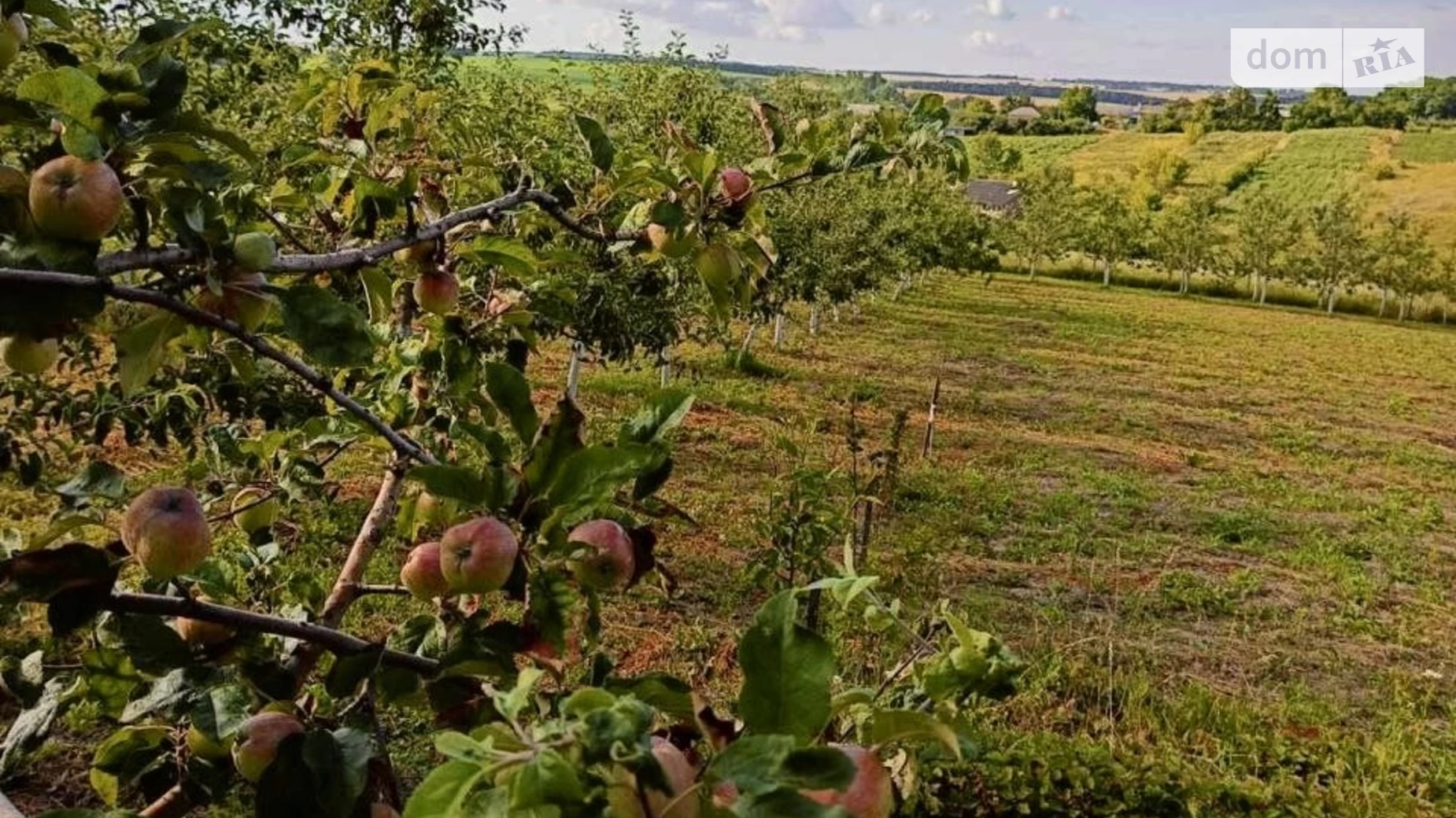 вул. Незалежності Віньківці, цена: 4999 $ - фото 3
