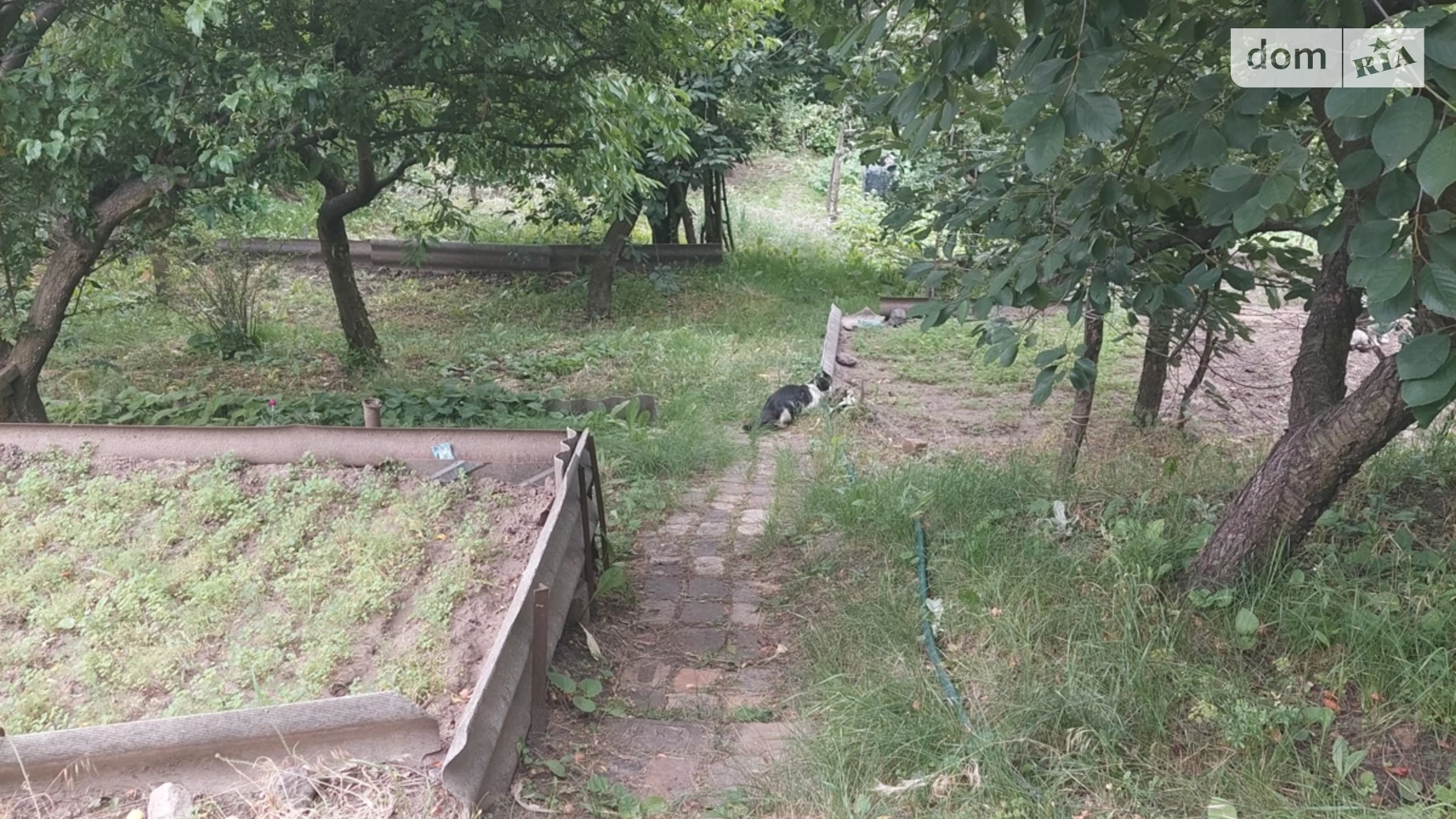 Продається одноповерховий будинок 30 кв. м з подвалом, цена: 4500 $ - фото 2