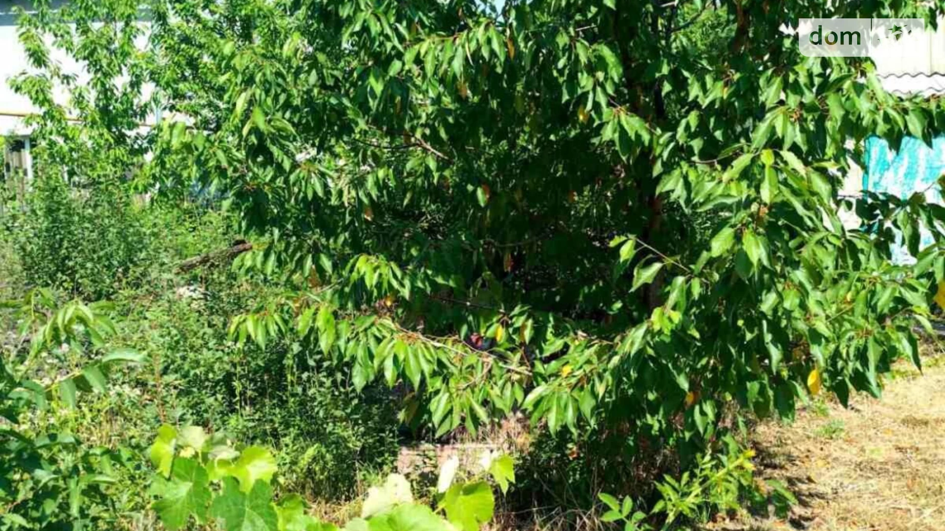 Продається одноповерховий будинок 23 кв. м з меблями, цена: 7000 $ - фото 4