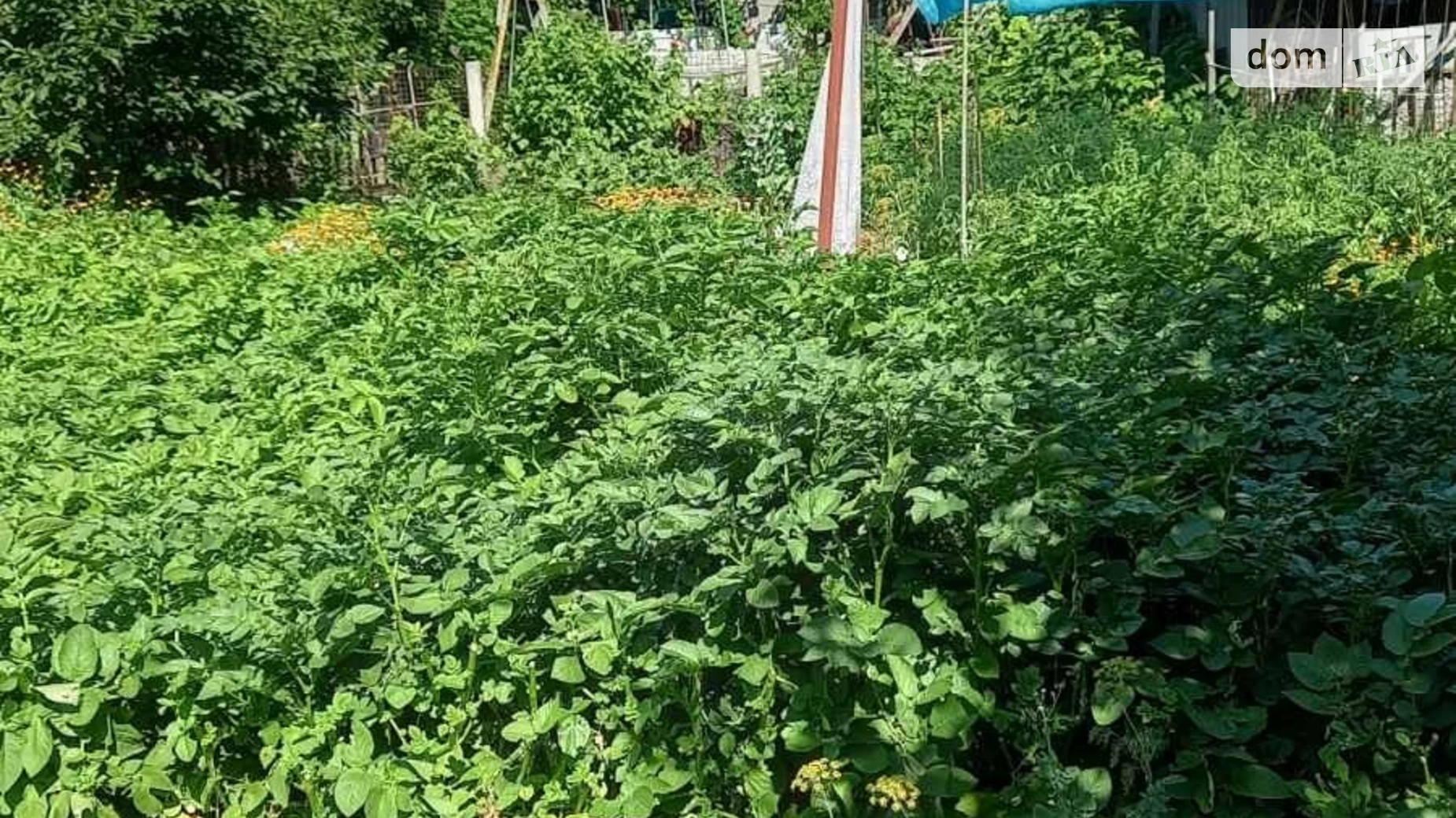 Продается одноэтажный дом 70 кв. м с баней/сауной, цена: 55000 $ - фото 3