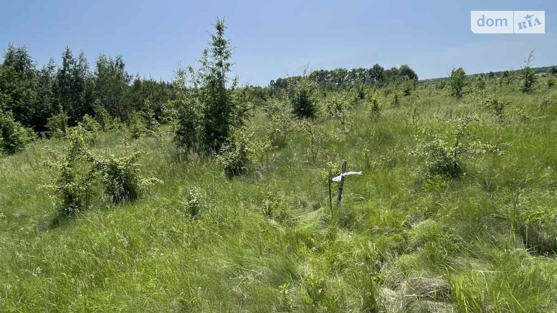 Продается земельный участок 10 соток в Винницкой области, цена: 5500 $ - фото 2