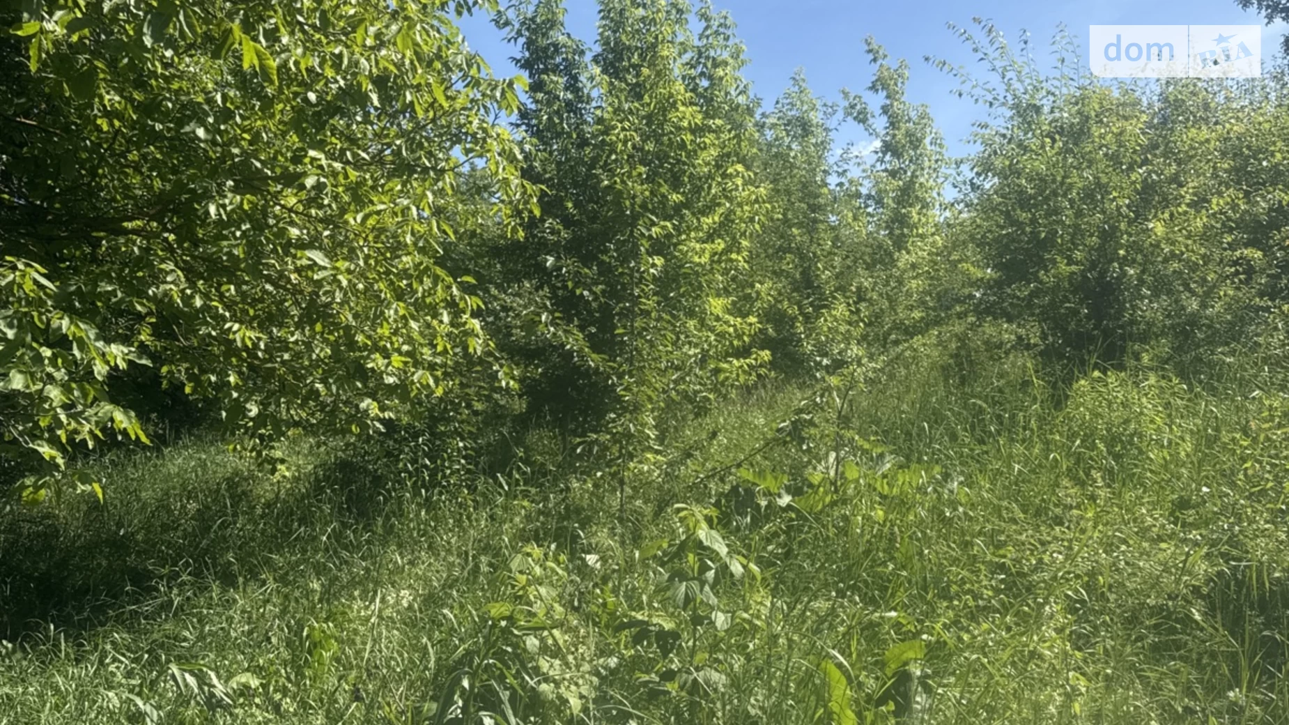 ул. Нижняя Нагорная Лука-Мелешковская, цена: 20000 $ - фото 4
