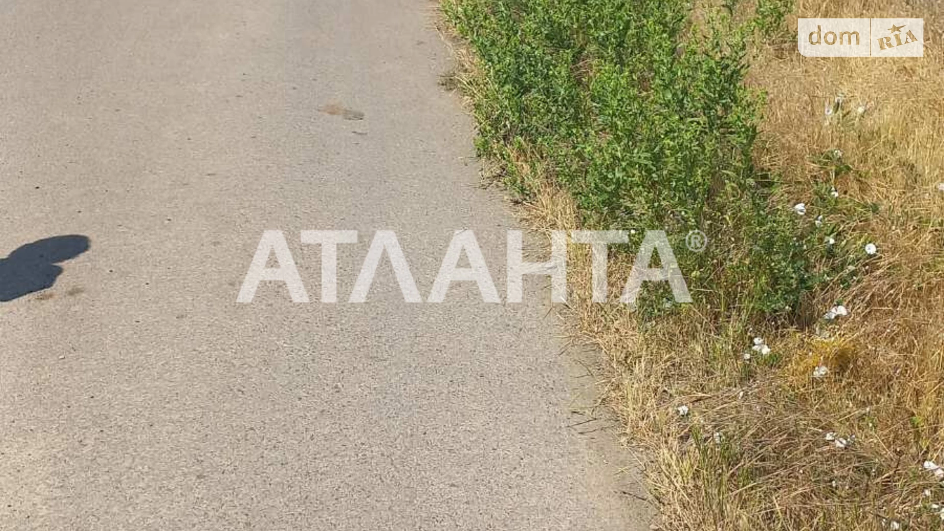 Василівка (Біляївка), цена: 5000 $ - фото 4