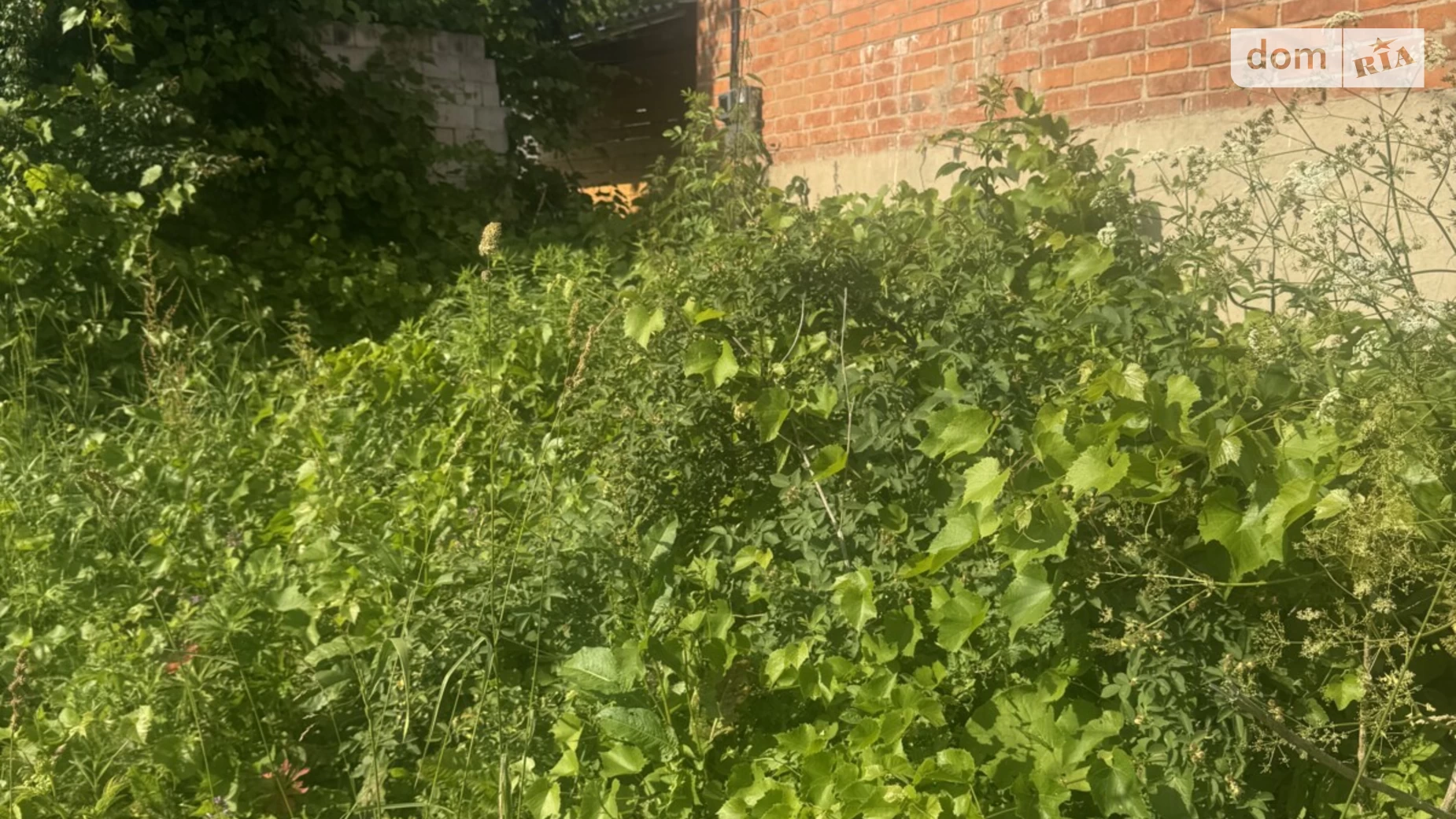 Продається одноповерховий будинок 70 кв. м з подвалом, цена: 23500 $ - фото 5