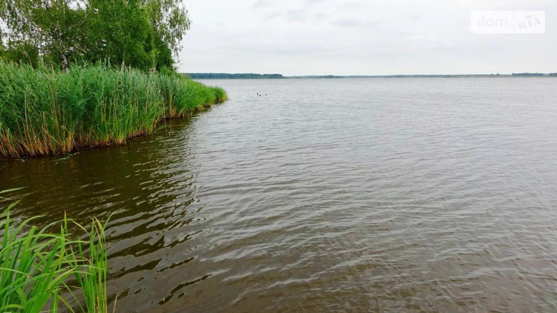Рибача Ленінський Вінниця, цена: 12000 $ - фото 3