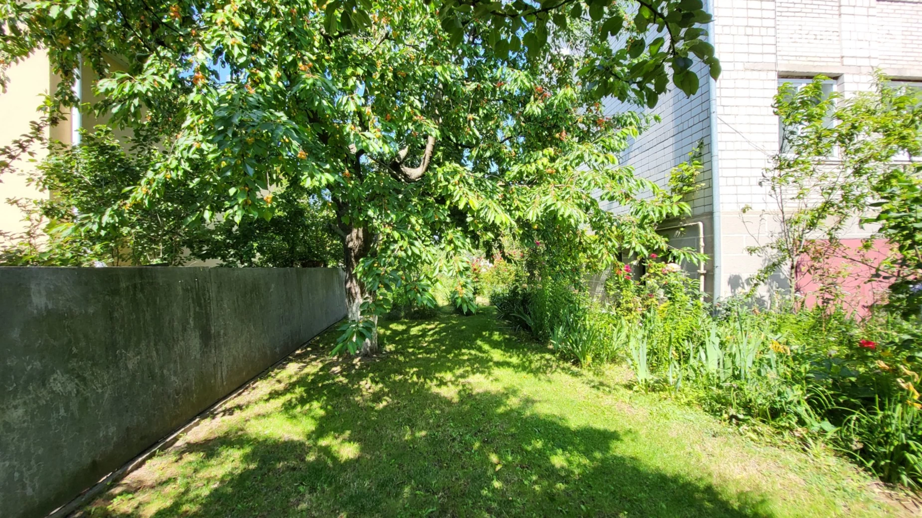 Продается дом на 2 этажа 262 кв. м с мансардой, цена: 155000 $ - фото 5