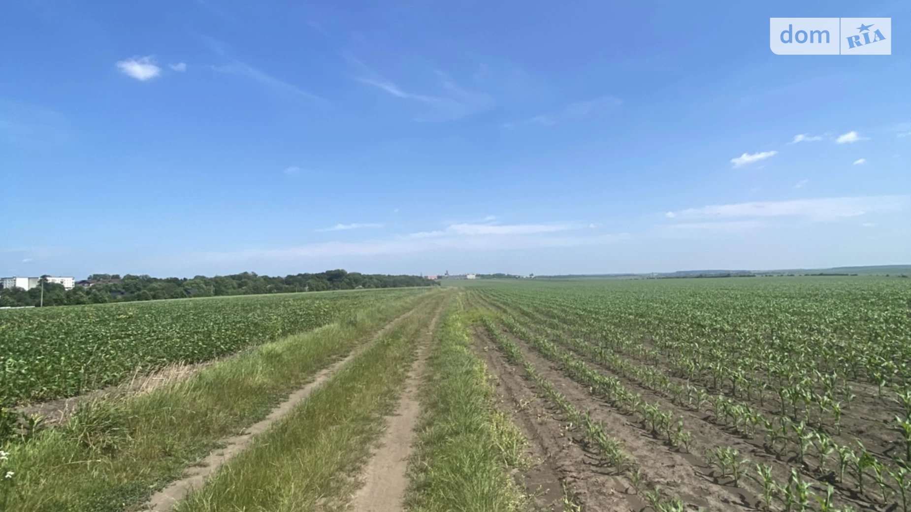Продається земельна ділянка 2.1287 соток у Тернопільській області, цена: 117150 $ - фото 3