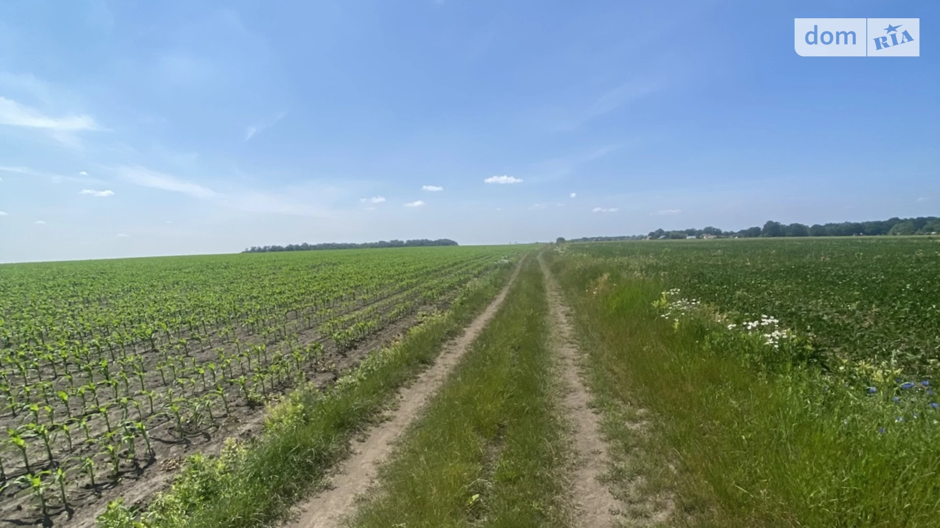 Продається земельна ділянка 2.1287 соток у Тернопільській області, цена: 117150 $ - фото 5