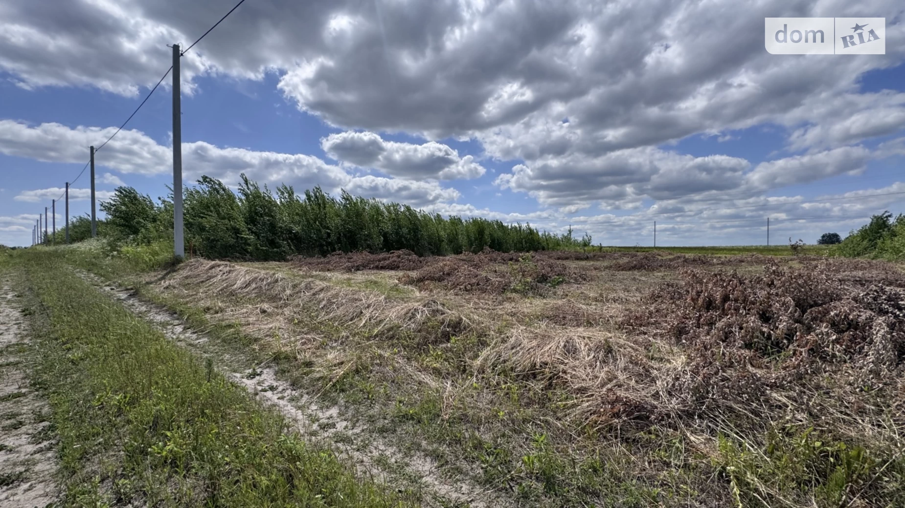 Продается земельный участок 6.3 соток в Ровенской области, цена: 16800 $ - фото 2