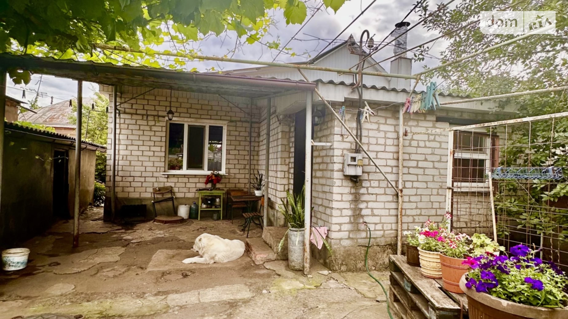 Продается одноэтажный дом 75 кв. м с садом, цена: 42000 $ - фото 4