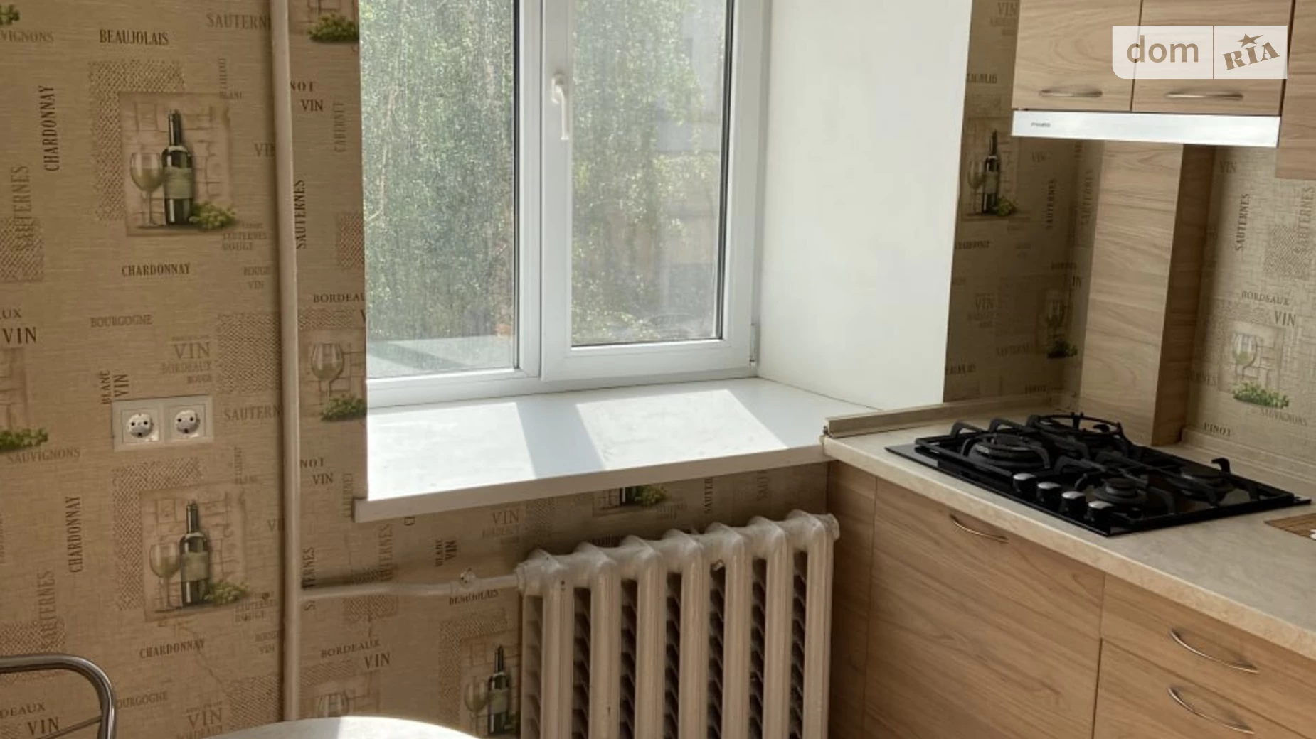 вул. Басейна, 12 Черепанова гора Київ, цена: 18000 грн - фото 5