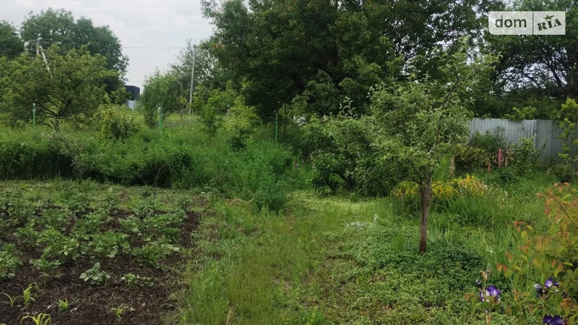 вул. Березова Лезневе Хмельницький, цена: 27000 $ - фото 3