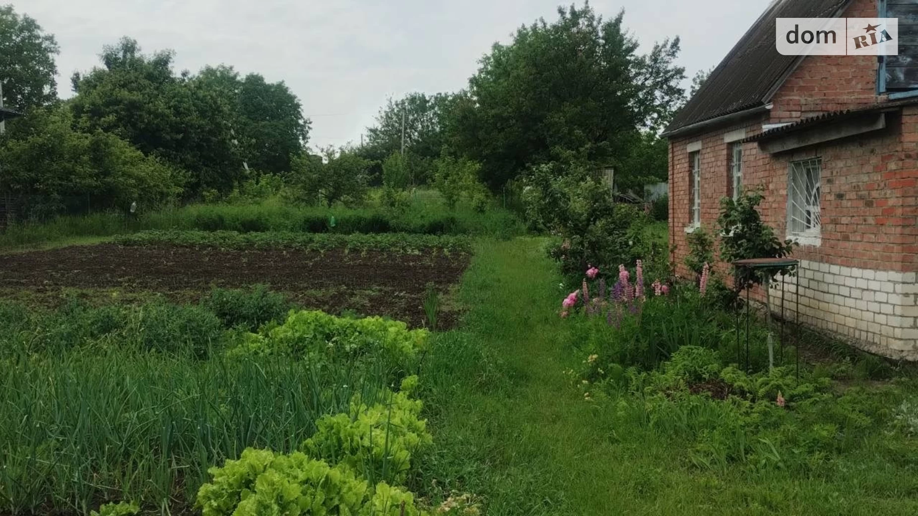 вул. Березова Лезневе Хмельницький, цена: 27000 $ - фото 5