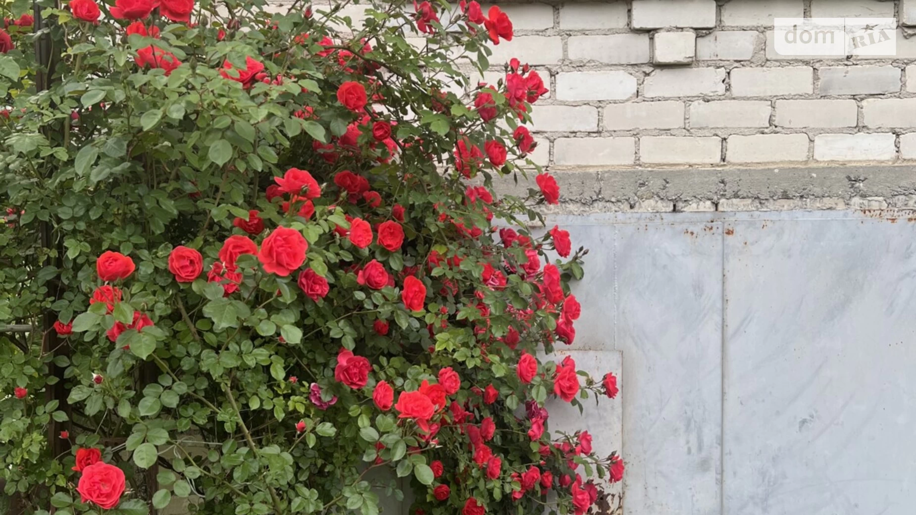 Продається будинок 2 поверховий 85 кв. м з ділянкою, цена: 29000 $ - фото 4