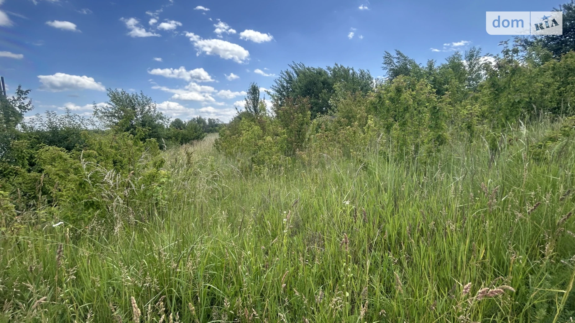 Продается земельный участок 28 соток в Хмельницкой области, цена: 11500 $ - фото 2