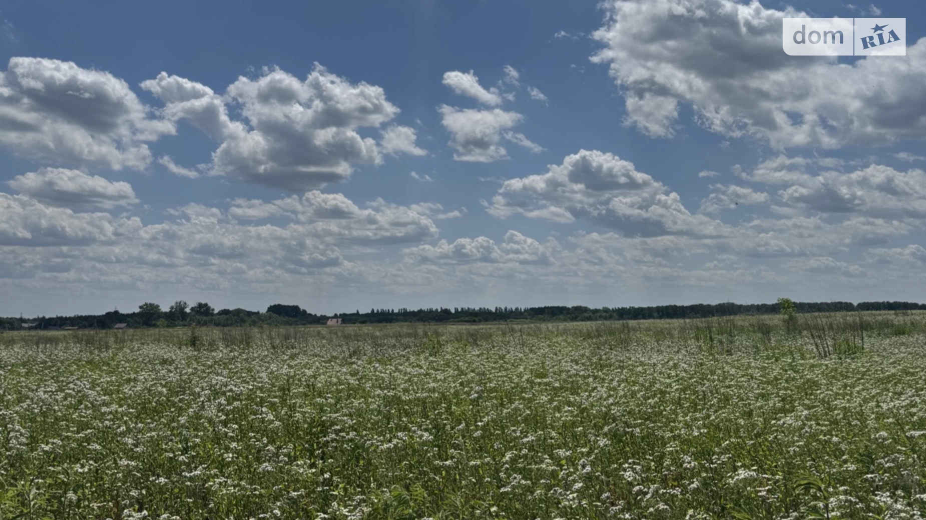 Продається земельна ділянка 6 соток у Вінницькій області, цена: 16000 $ - фото 4