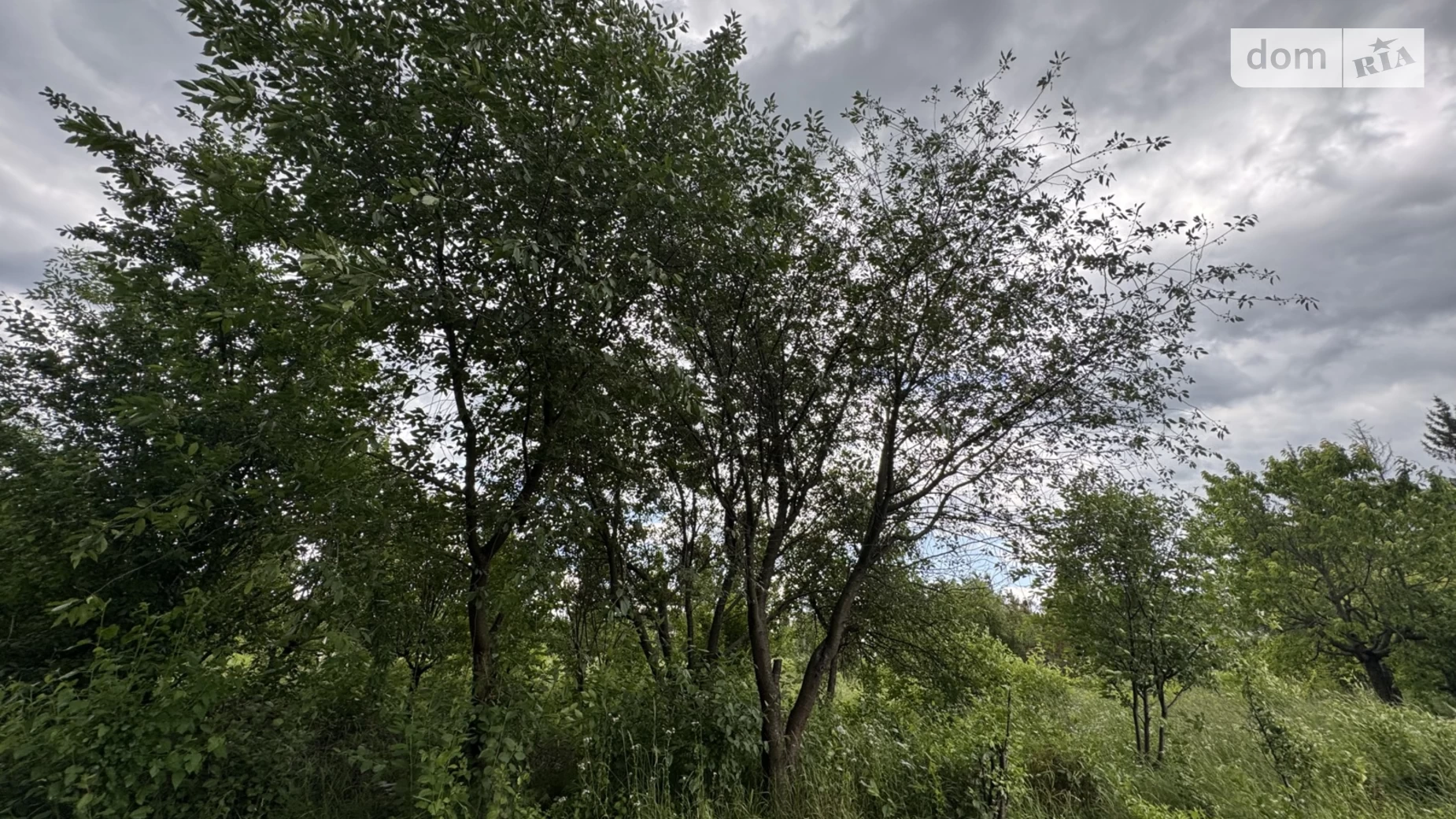 Продається земельна ділянка 5.5 соток у Вінницькій області, цена: 35000 $ - фото 2