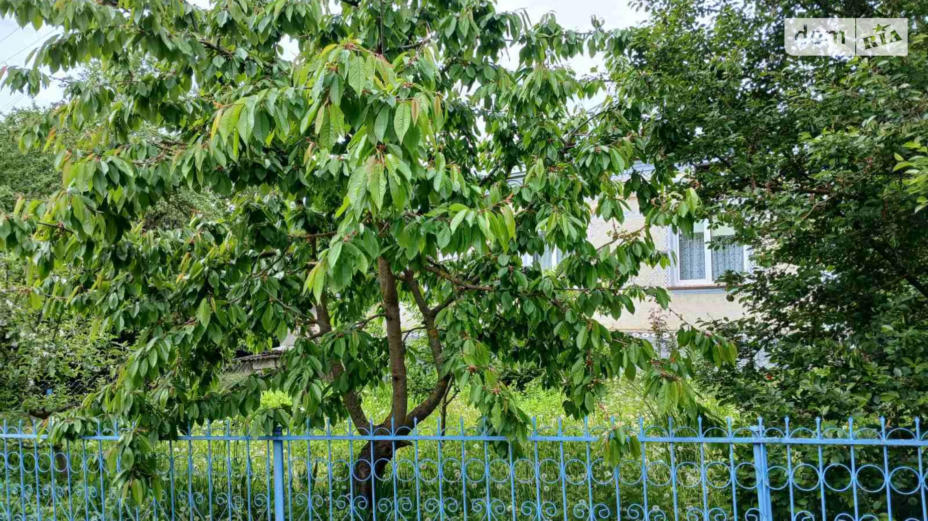 Продається одноповерховий будинок 94.9 кв. м з мансардою, цена: 18000 $ - фото 2