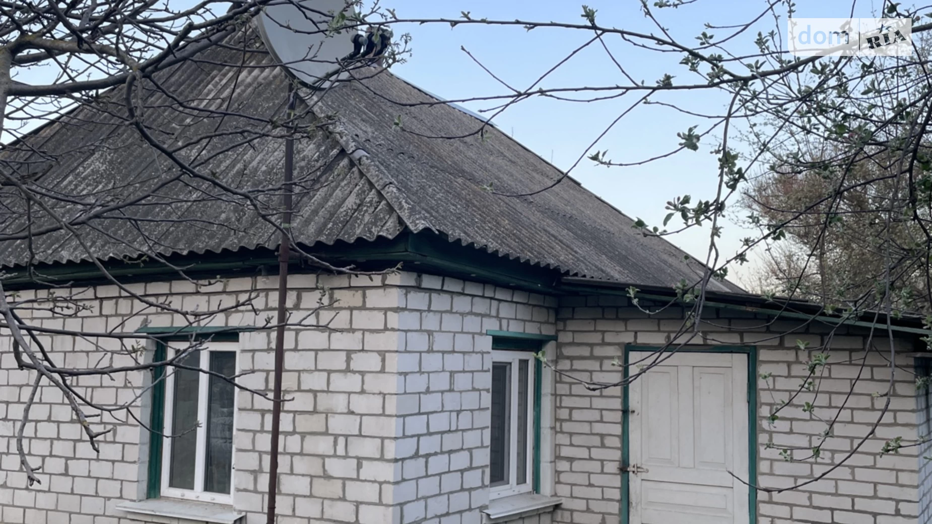 Продається одноповерховий будинок 70 кв. м з садом, цена: 5500 $ - фото 2
