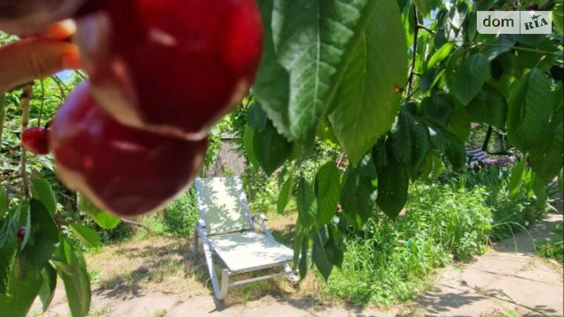 Здається в оренду одноповерховий будинок з каміном, цена: 1300 грн - фото 3