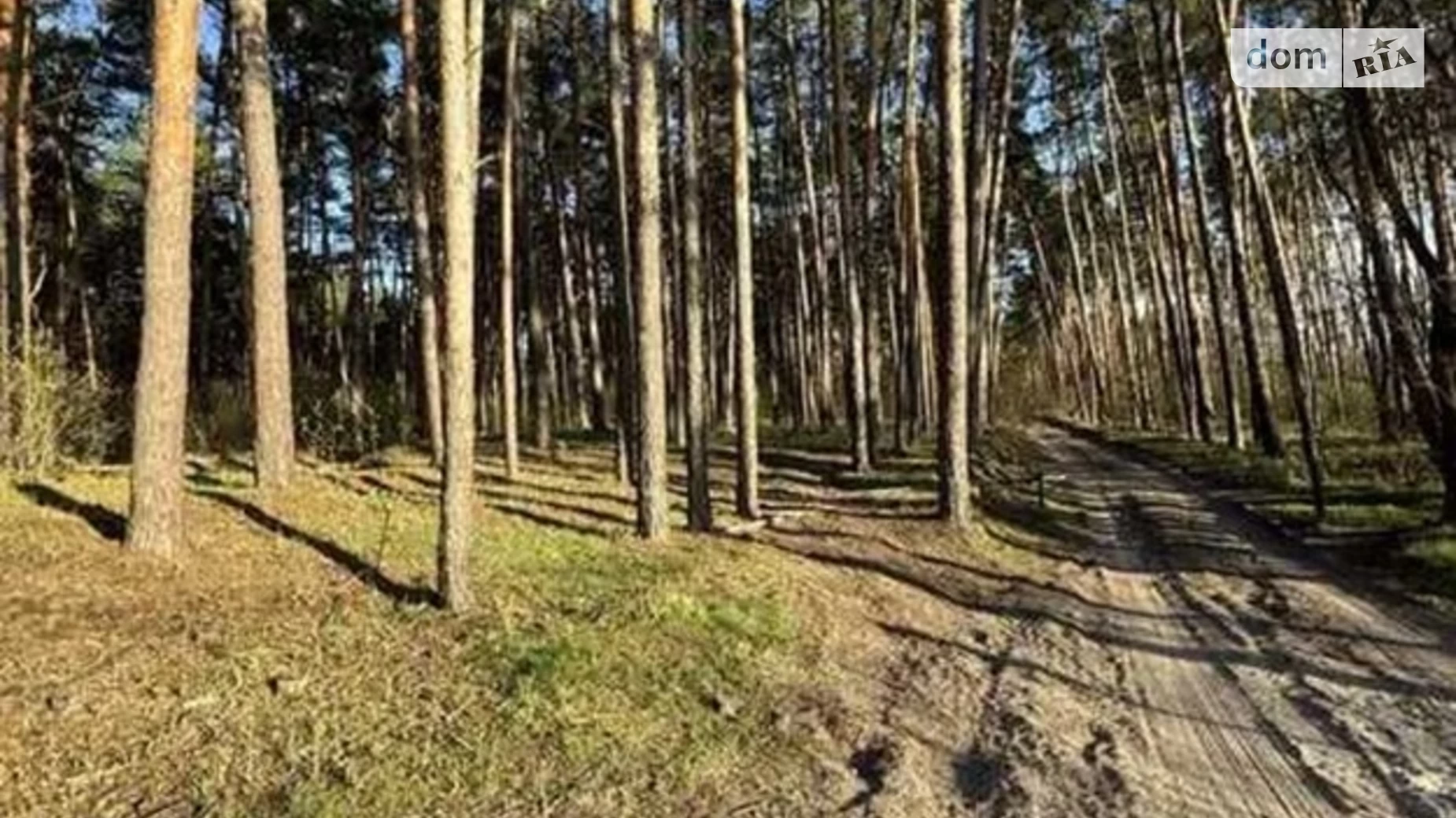 Голосіївський Київ, цена: 57000 $ - фото 2