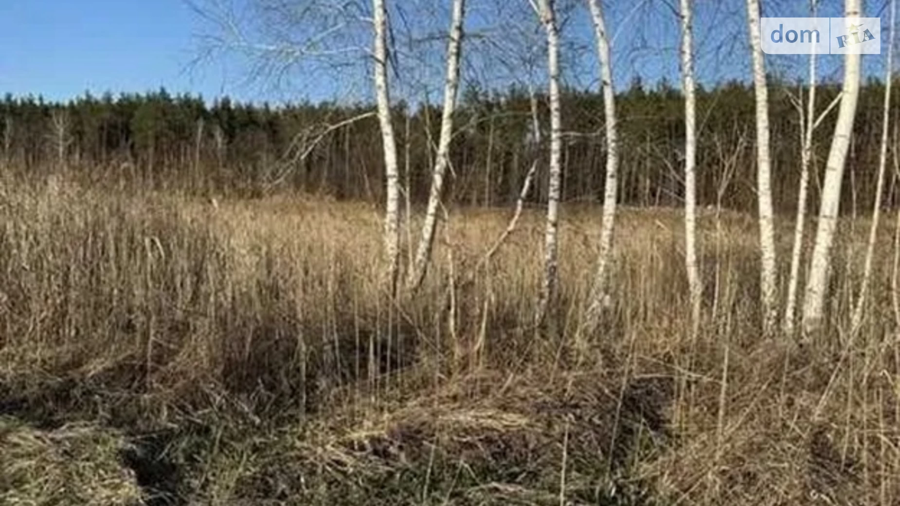 Голосіївський Київ, цена: 57000 $ - фото 5