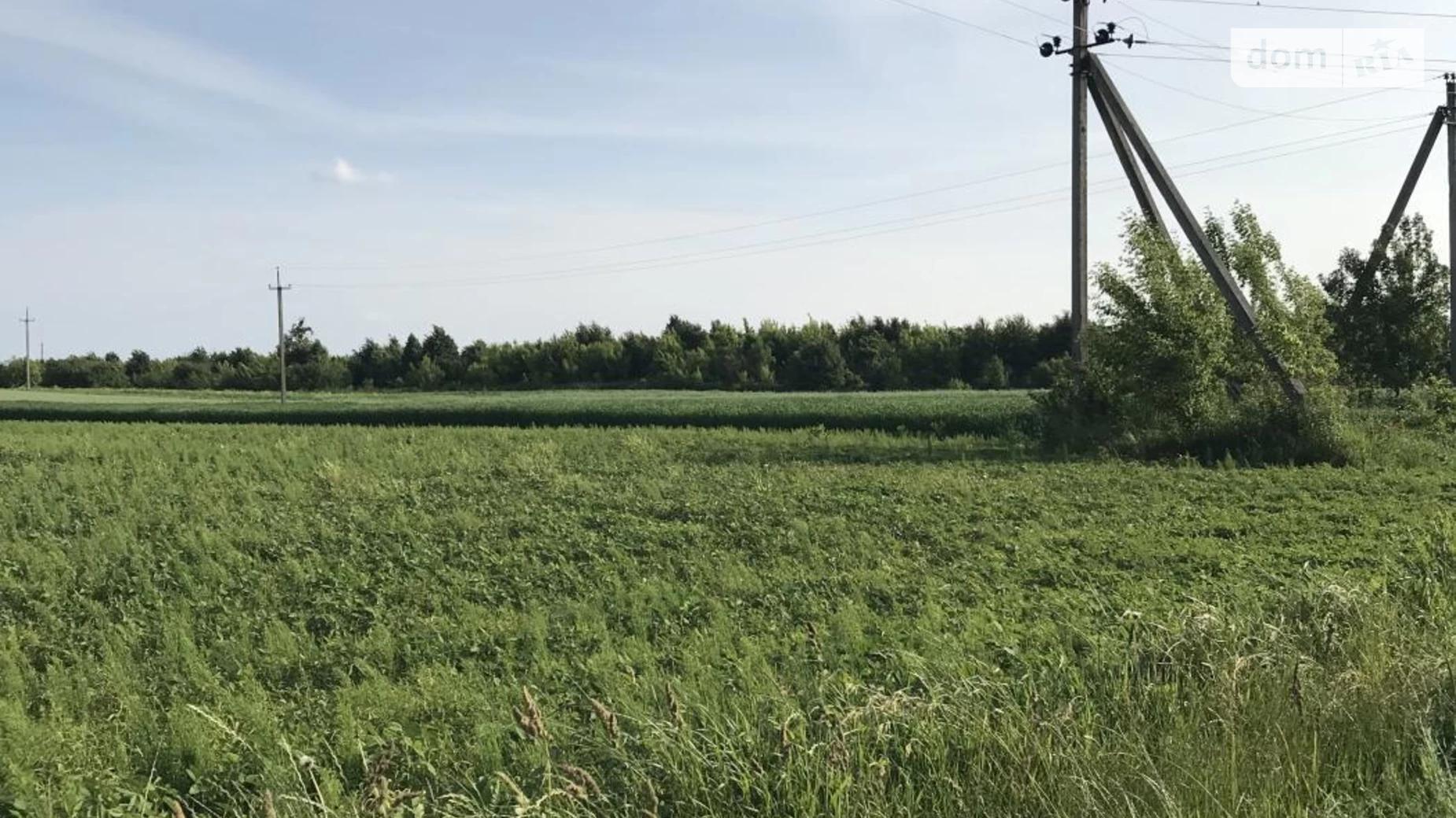 Продається земельна ділянка 30 соток у Рівненській області, цена: 10000 $ - фото 2